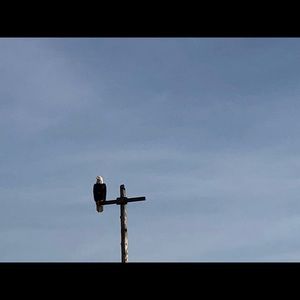 Meet your Posher, Jack